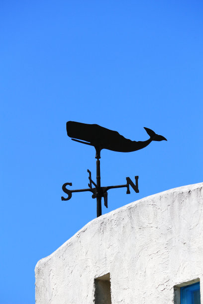 风吹着鲸鱼的口哨图片下载