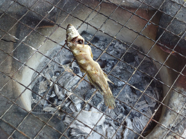 烤架上烤的条纹黑鱼。炭炉上烤的条纹蛇头鱼。图片下载