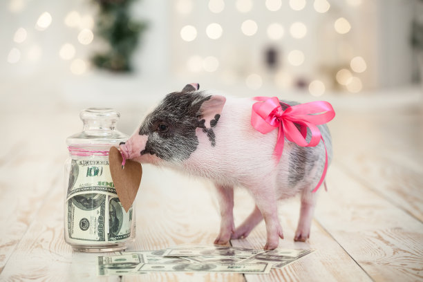玻璃钱罐和粉红色蝴蝶结小猪新年，圣诞节。象征着新年和祝福素材图片