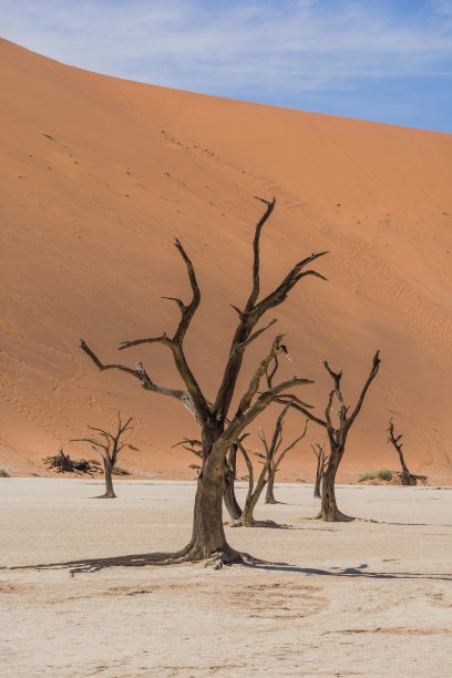 纳米布沙漠的风景图片下载