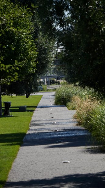 长满青草的笔直小路图片下载