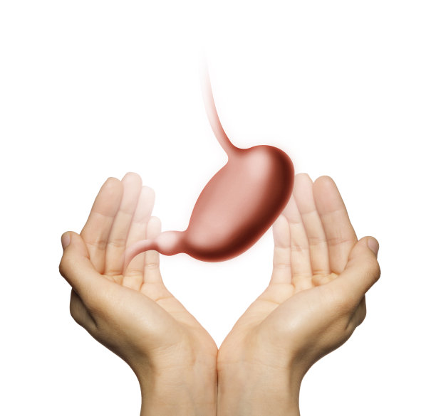 健康的胃的概念。图片下载