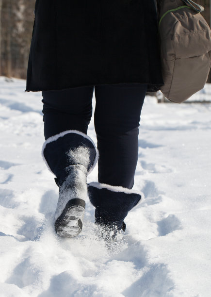 在雪的步骤。图片下载
