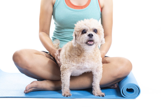 瑜伽课上抱着狗的女人，被孤立在白色背景上图片下载