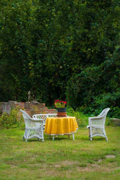 后院的白色藤椅和桌子图片下载