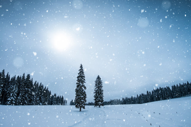田园诗般的冬天场景图片下载