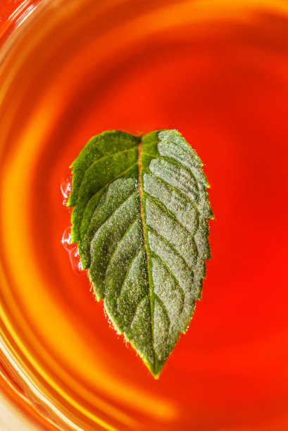 茶叶中的薄荷叶。图片下载