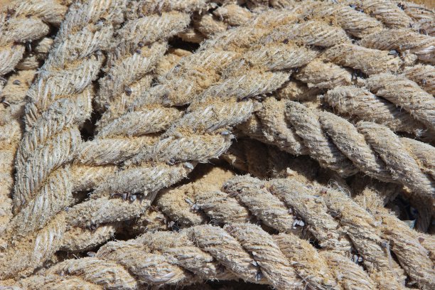 覆盖着沙子的船绳纹理图片下载