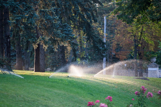 自动洒水器在花园里浇水图片下载