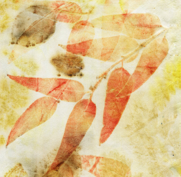 植物打印图片下载