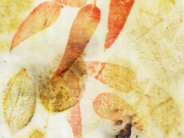 植物打印图片下载