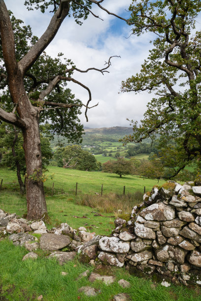 9月一个下雨的下午，从斯诺登尼亚悬崖步道俯瞰Barmouth和Coed-y-Brenin森林的风景图片图片下载