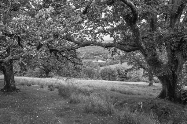 9月一个下雨的下午，从斯诺登尼亚悬崖步道俯瞰Barmouth和Coed-y-Brenin森林的风景图片图片下载