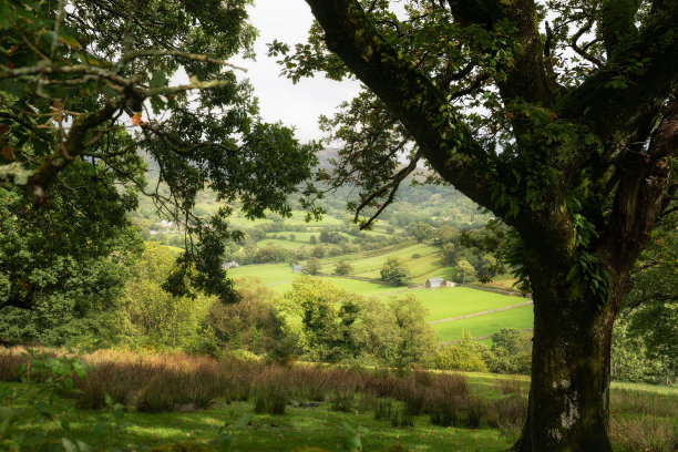 9月一个下雨的下午，从斯诺登尼亚悬崖步道俯瞰Barmouth和Coed-y-Brenin森林的风景图片图片下载