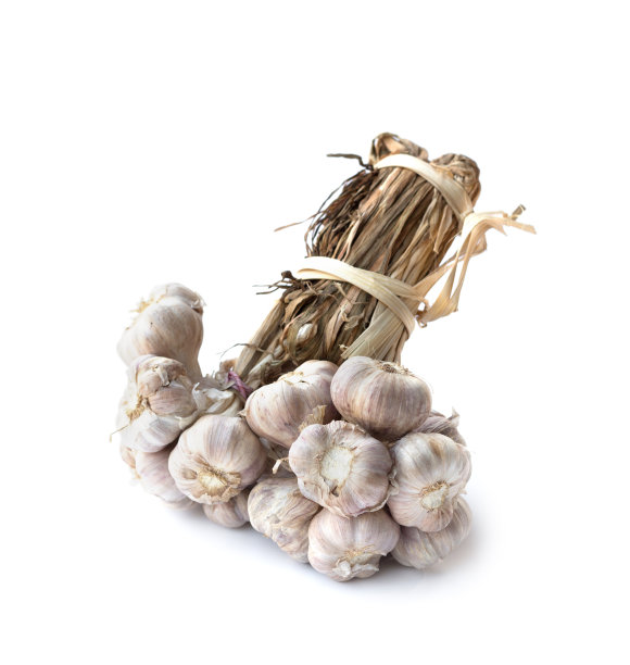 白色背景上孤立的一束有机蒜瓣图片下载