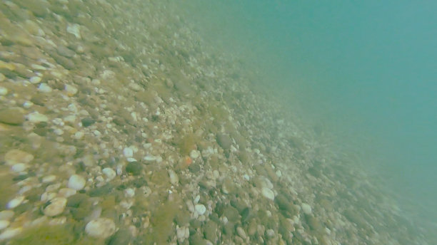 照片中是黑海海底的石头图片下载