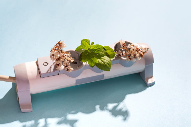 蓝色背景上的电源带花园和生态电源插头。基于能源的概念照片图片下载