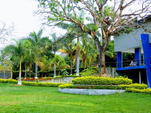 他溶胶图片下载