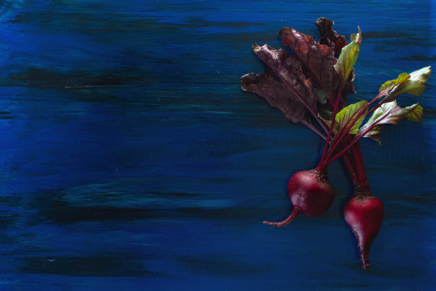 自家种植的绿叶有机甜菜幼苗图片下载