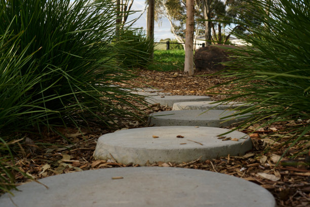 公园里由圆形大石筑成的小路图片下载