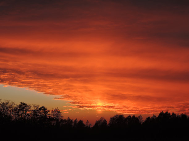 森林上空橙色的夕阳图片下载