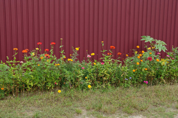 红色金属栅栏的碎片，上面有花和草图片下载