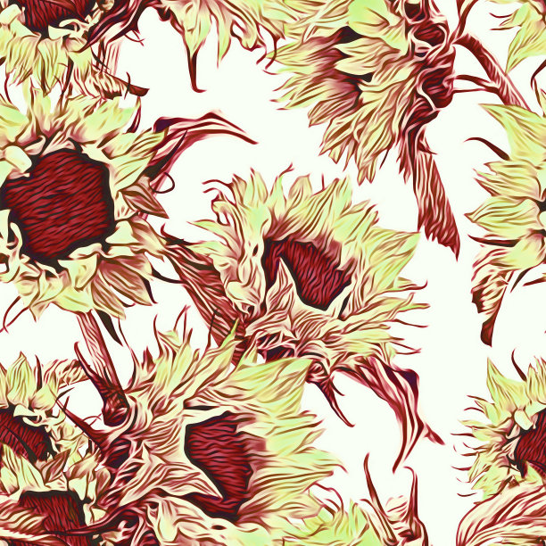 向日葵无缝模式。图片下载