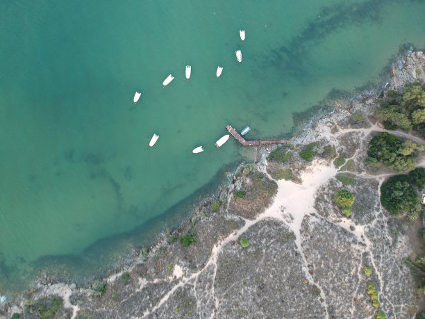 海鸥岛图片下载