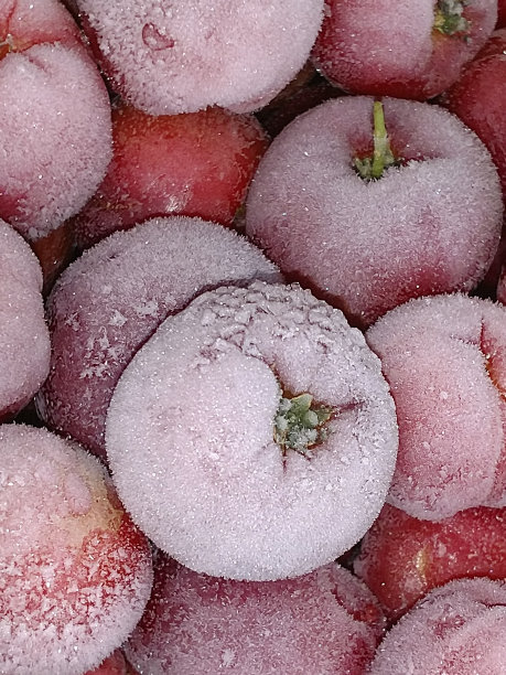 Acerolas冻结图片下载