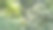 贾迪姆·博托尼科 - 桑托斯/斯普图片下载