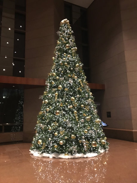 点燃圣诞树图片下载