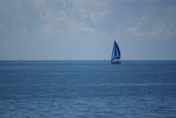 索尼DSC图片下载