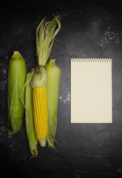 玉米棒子和笔记本在黑色的背景图片下载