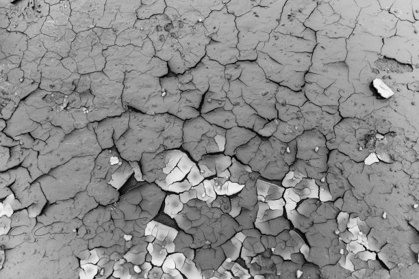 干泥表面图片下载