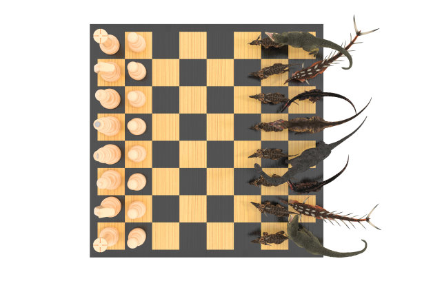 恐龙之战图片下载