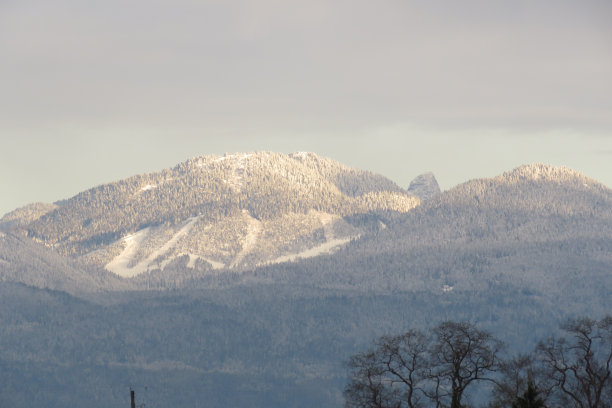 雪在柏树滑雪道图片下载