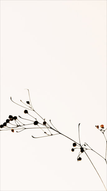 浴缸里的水图片下载