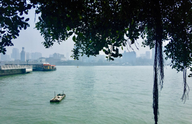海边的钢琴岛，前面有树木撑住，一些船漂浮，码头和厦门城，中国小镇在背景图片下载