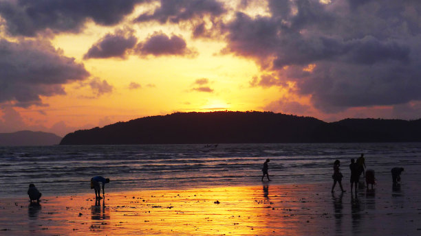 低潮滩图片下载