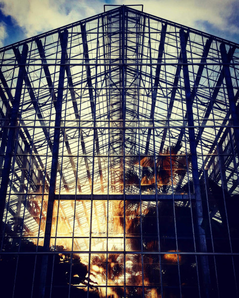 结构与光图片下载