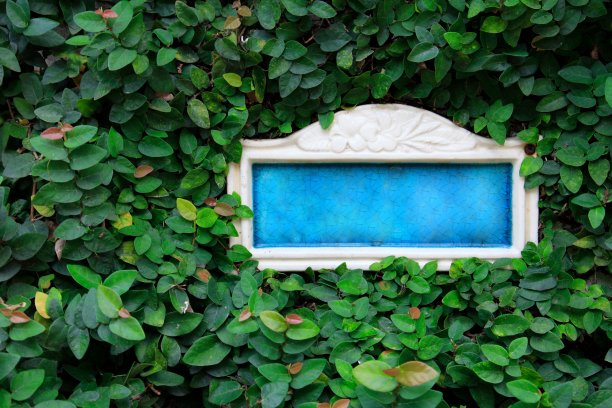 绿色墙上的蓝色空白标识写着家庭地址图片下载