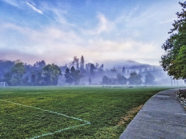 加州科洛玛公园的大雾图片下载