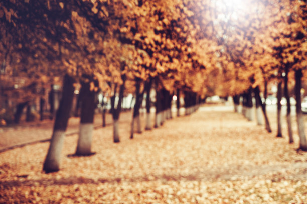 模糊的背景纹理小巷中的城市和黄色的秋天图片下载