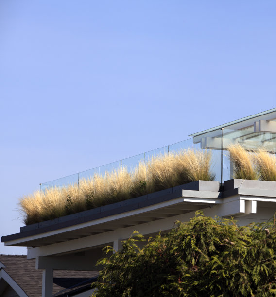 现代住宅屋顶园艺图片下载