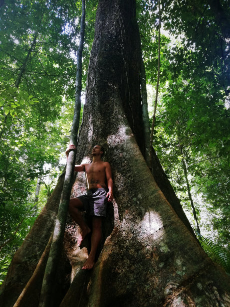里的风景图片下载