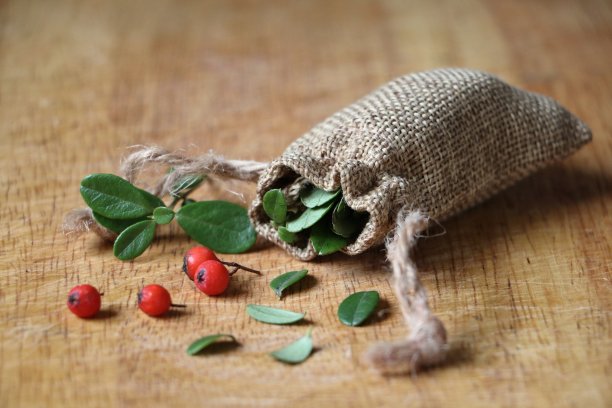 草药和浆果有益于健康图片下载