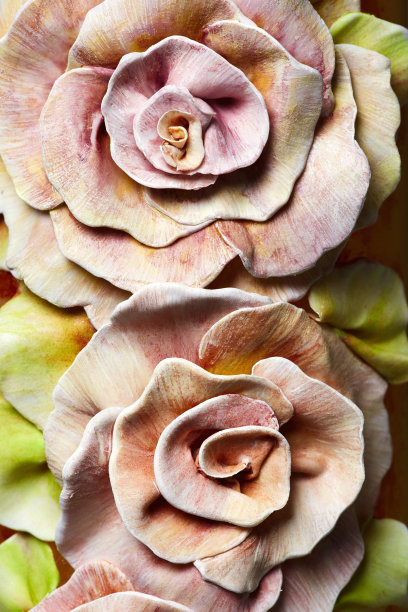 画立体花图片下载