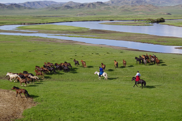 马开车图片下载