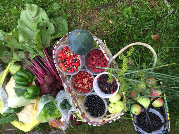 秋天的收获图片下载