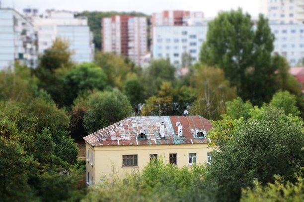 树和高楼之间的黄色小房子图片下载